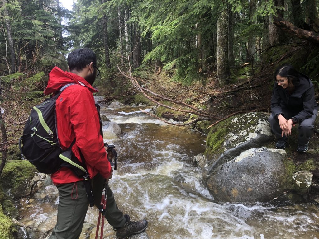 Sterling Loop Trail in Pinecone Burke Provincial Park