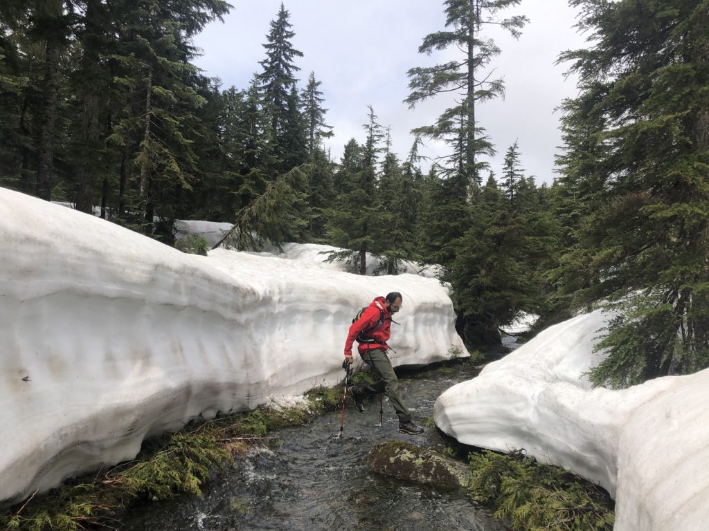 Sterling Loop Trail in Pinecone Burke Provincial Park