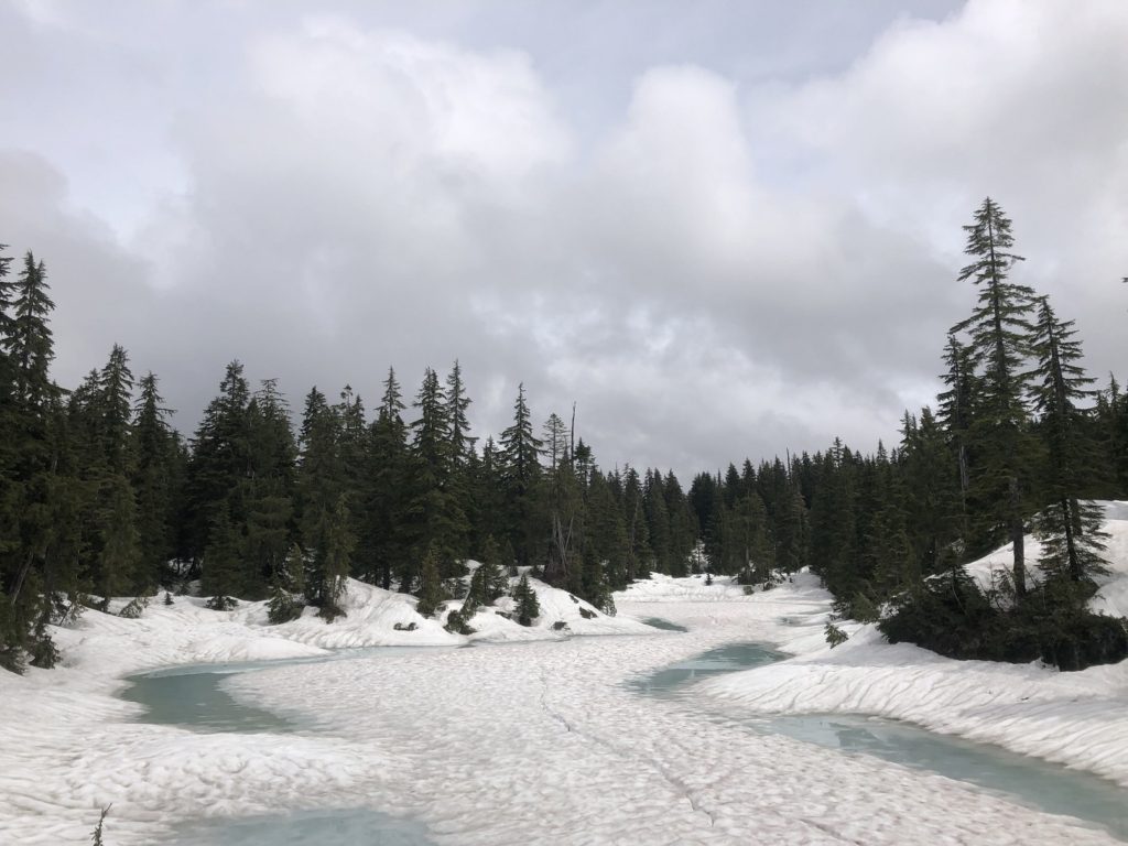 Sterling Loop Trail in Pinecone Burke Provincial Park