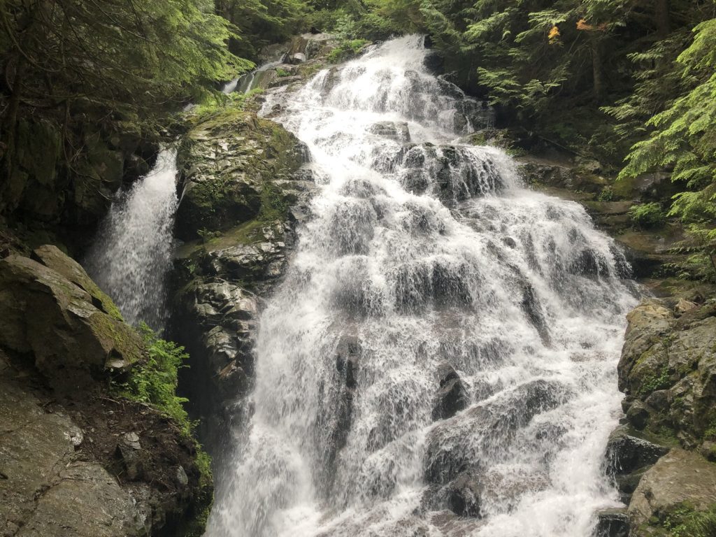 Big Cedar and Kennedy Falls Hike in Lynn Headwaters Regional Park
