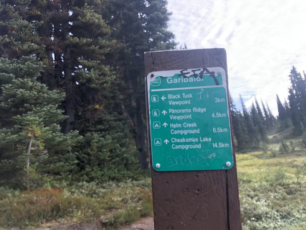 Black Tusk - Panorama Ridge Trail Junction