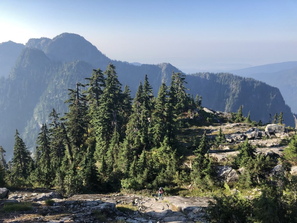 Mount Elsay Trail - North Face of Runner Peak and Mount Seymour in the background
