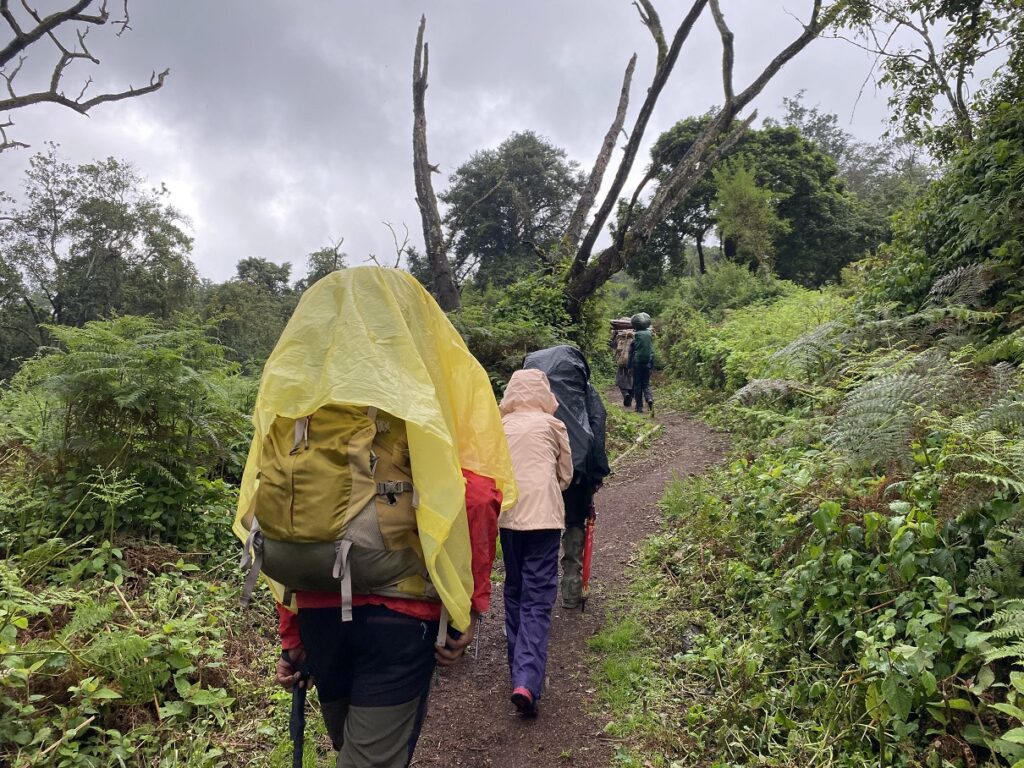 Kilimanjaro Alternative Lemosho Route - Trailhead