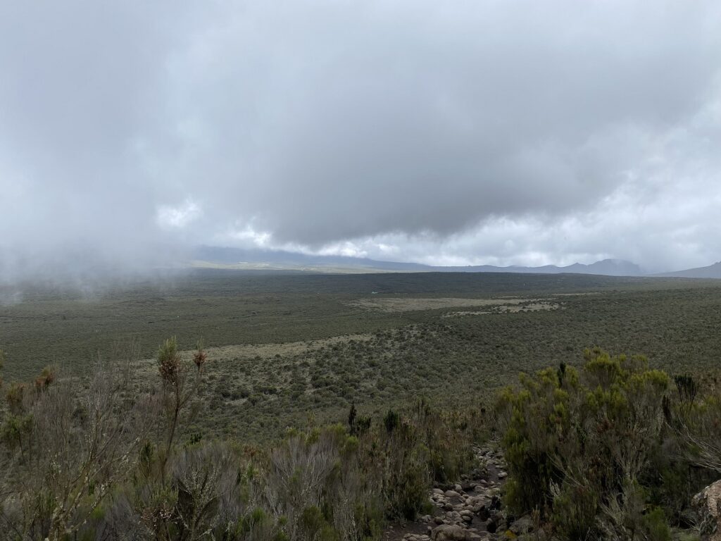Kilimanjaro Shira 1 Camp