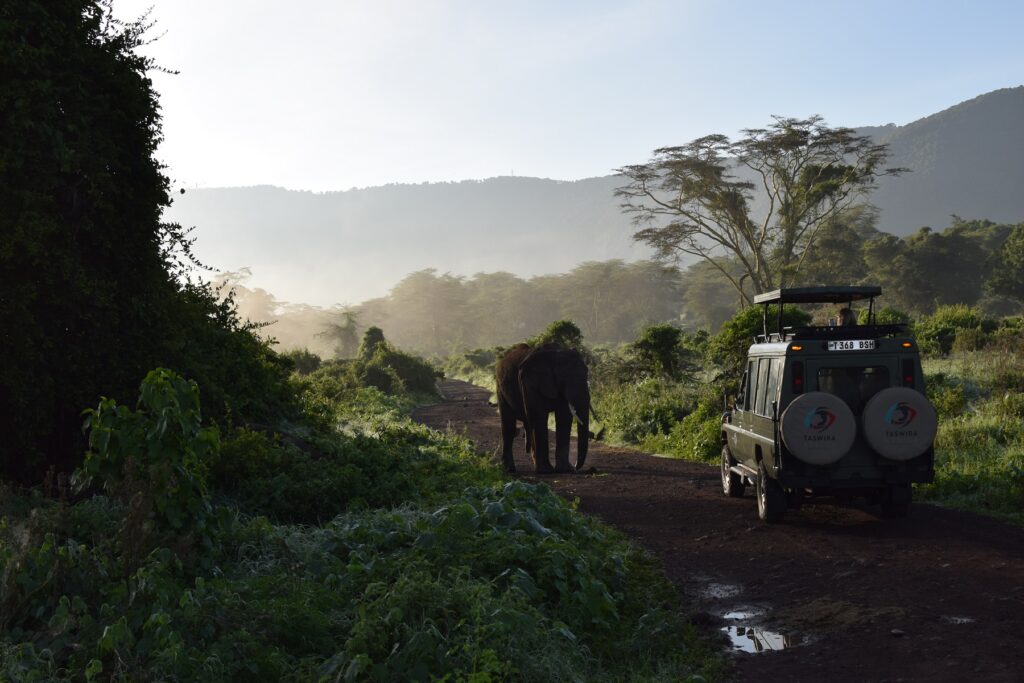 5-Day Tanzania Safari Ngorongoro Crater Elephant in front of Safari Vehcile