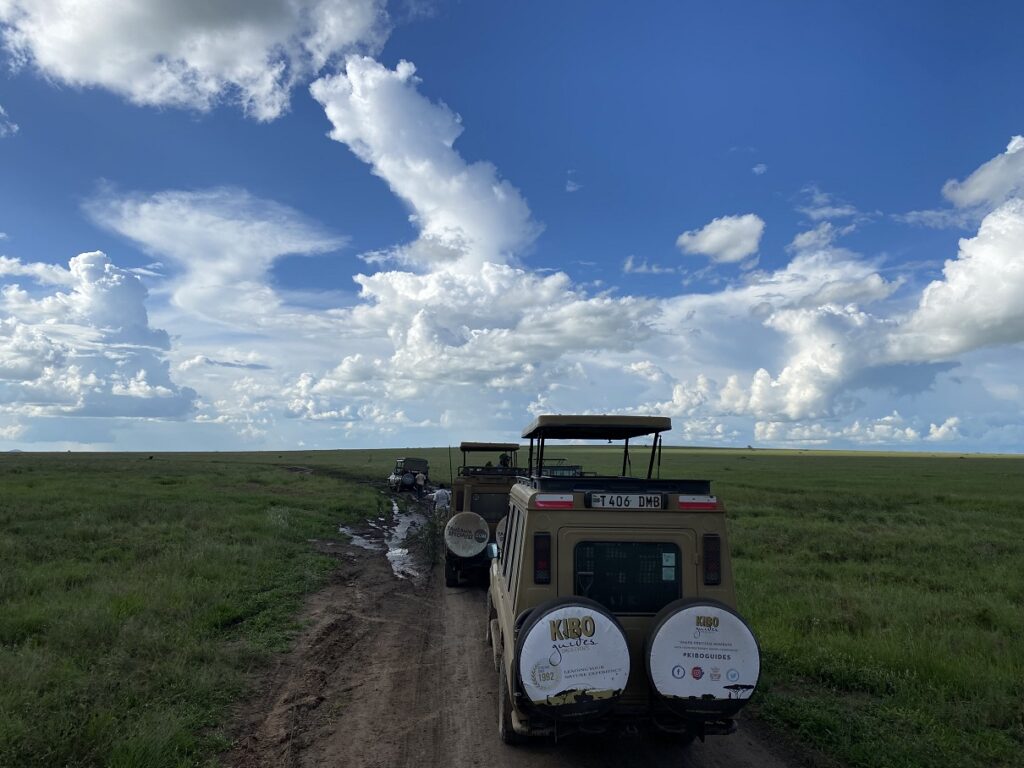 5-Day Tanzania Safari Muddy sections on game drive - vehicles stuck