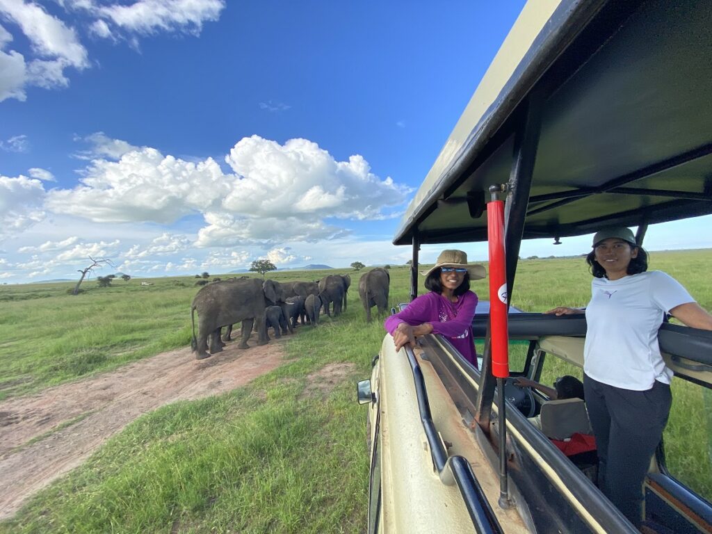 5-Day Tanzania Safari Serengeti National Park - Herd of Elephants