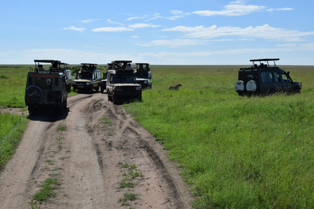 5-Day Tanzania Safari - Safari Vehicles