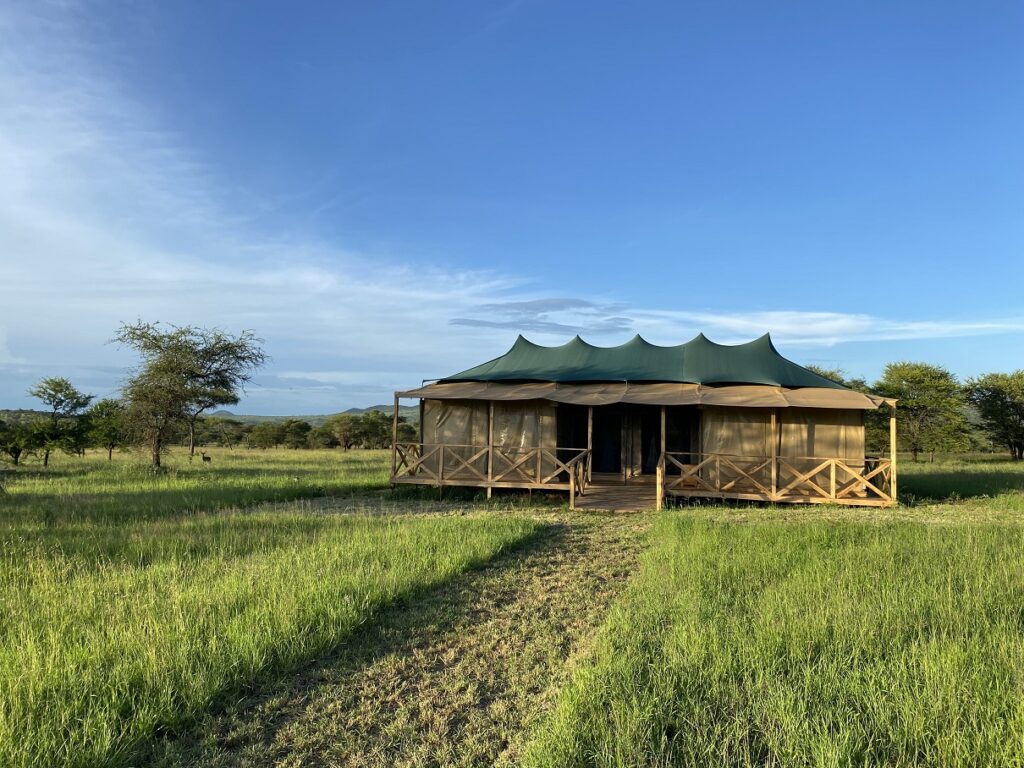 5-Day Tanzania Safari Signature Serengeti Camp Family Tent