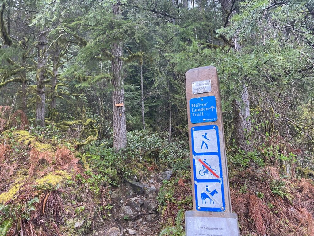 Halvor Lunden Trail - Eagle Mountain Hike