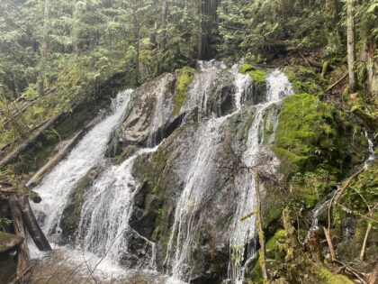 Mystery Falls