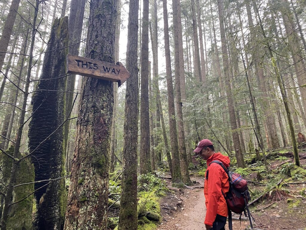 Mystery Falls Hike