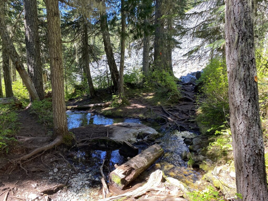 Wedgemount Lake Backpacking Trip