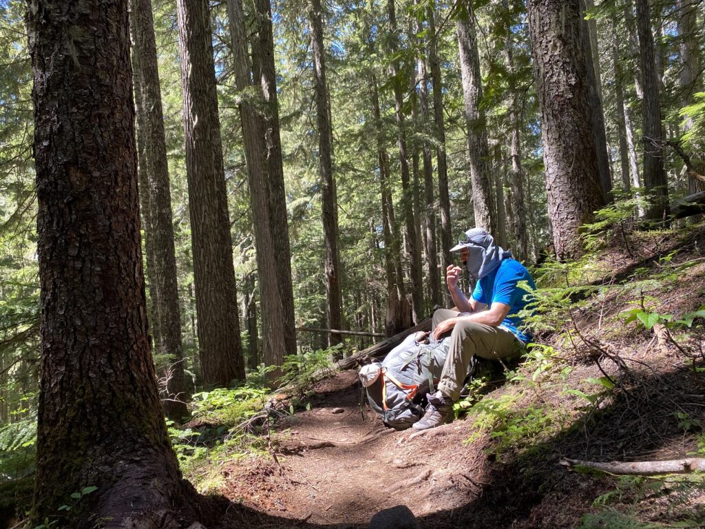 Wedgemount Lake Trail