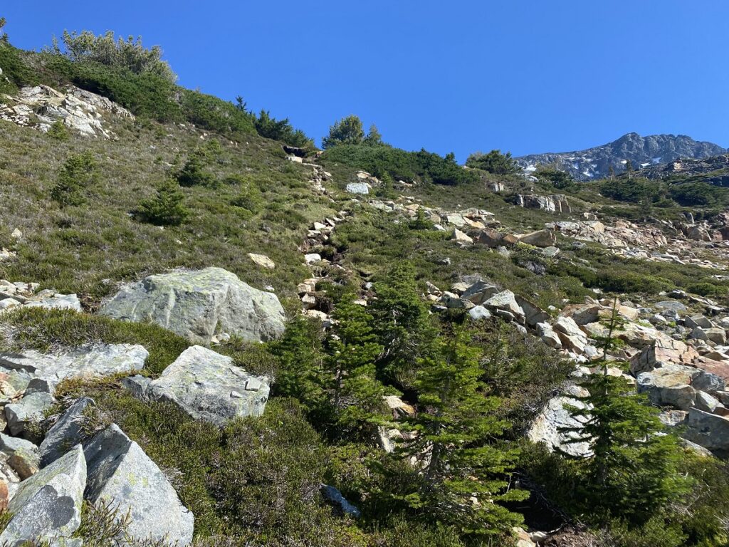 Mount Cook hike from Wedgemount Lake