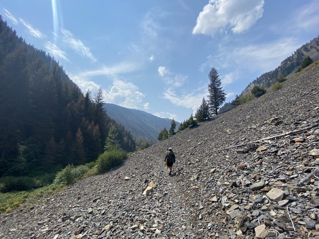 Thunder Lake Hike EC Manning Park