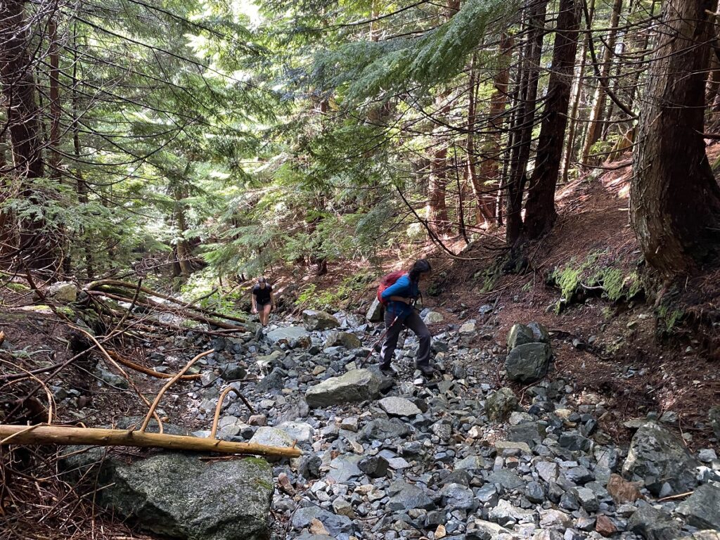 Golden Ears Trail - Golden Ears Summit Hike