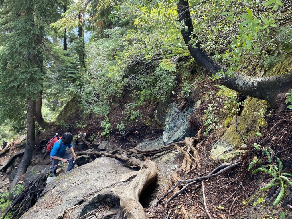 Golden Ears Trail - Golden Ears Summit Hike