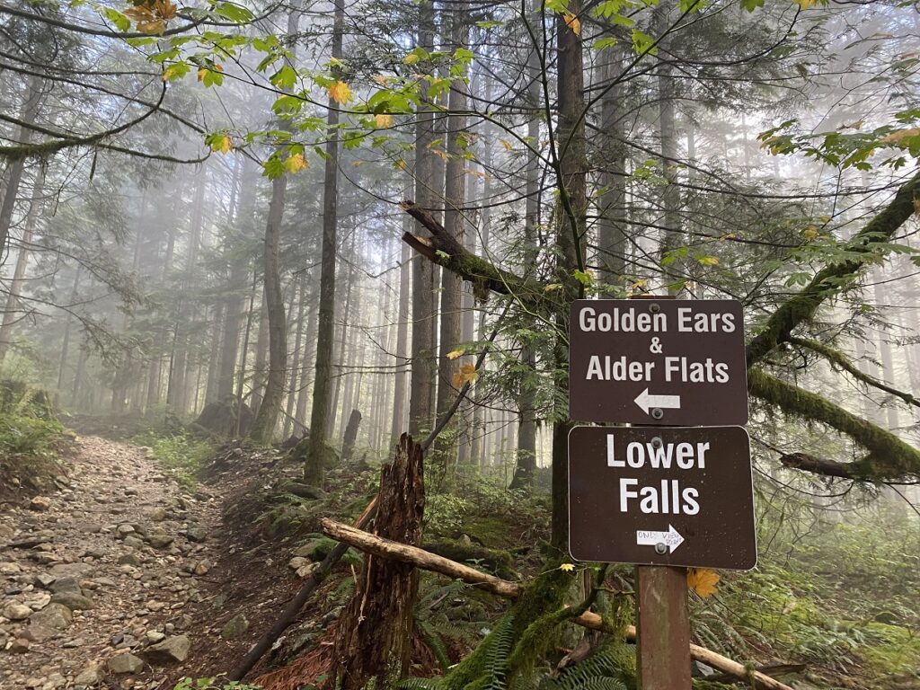 West Canyon Trail - Golden Ears Summit Hike