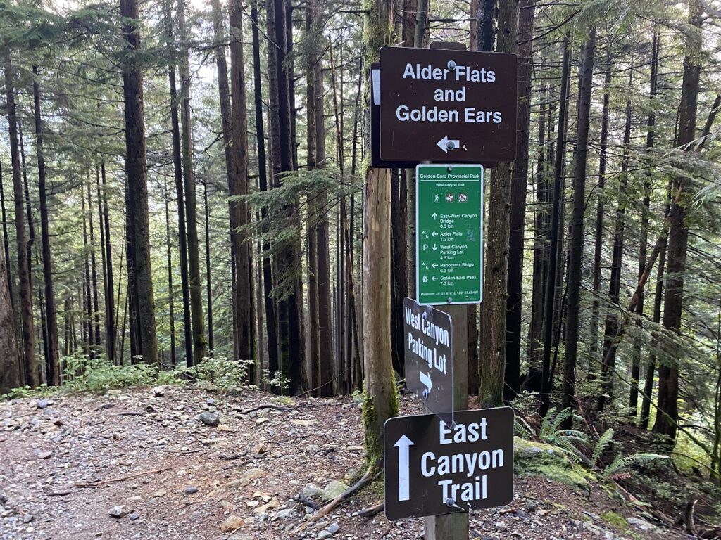 West Canyon Trail - Golden Ears Summit Hike