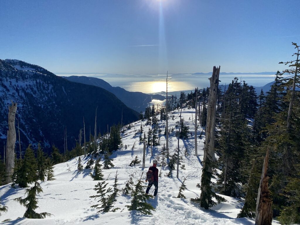 Mount Harvey Hiking Trail - descent route