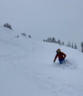 Zoa Backcountry Skiing