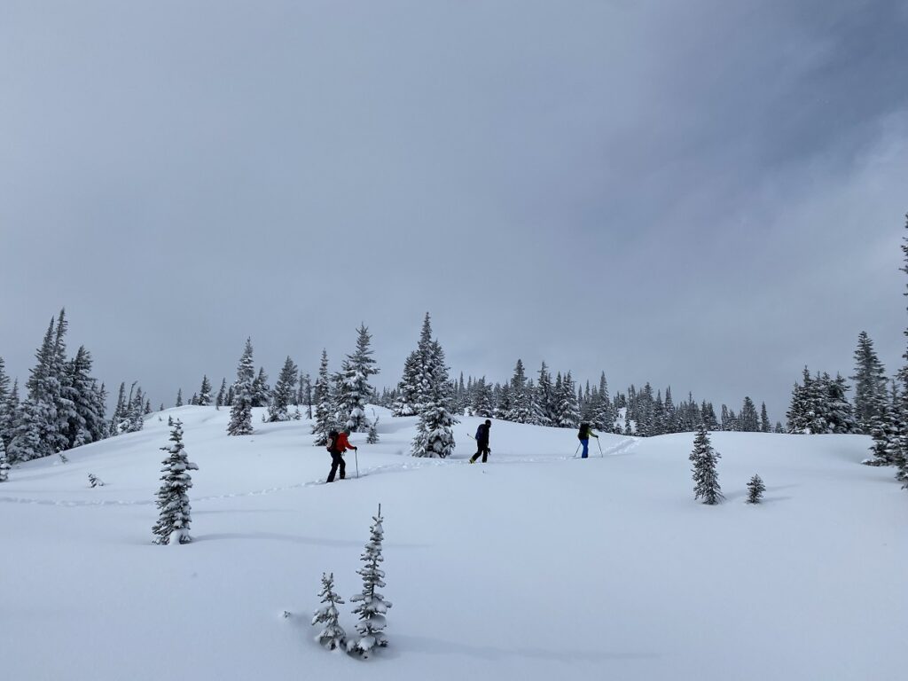 Zoa Peak Backcountry Skiing