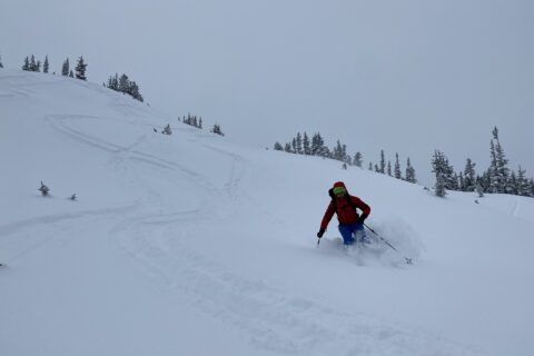 Zoa Backcountry Skiing