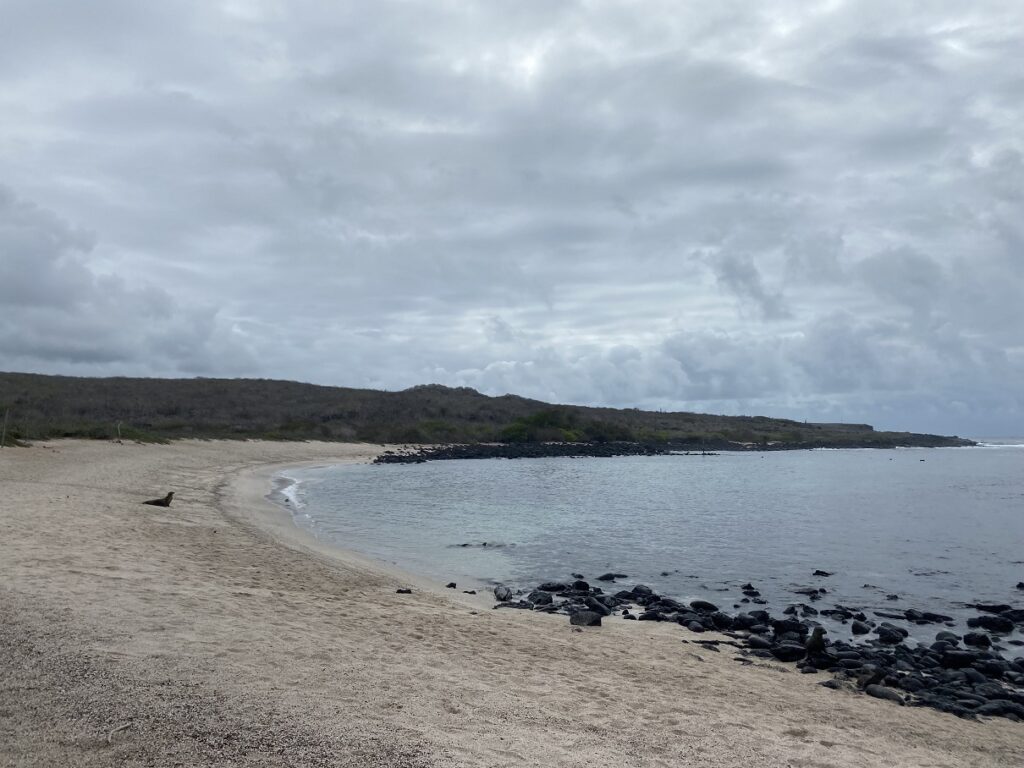 La Loberia Beach San Cristobal