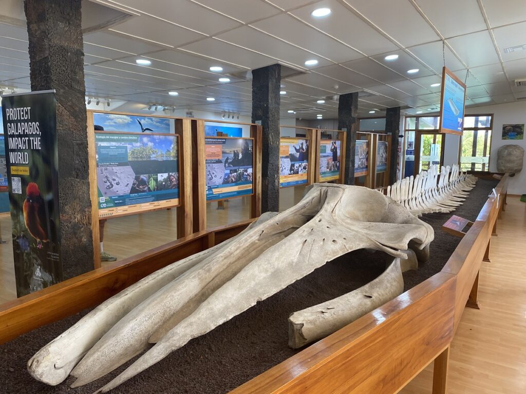 Ecuador Galapagos Santa Cruz Charles Darwin Research Station  Exhibition Hall