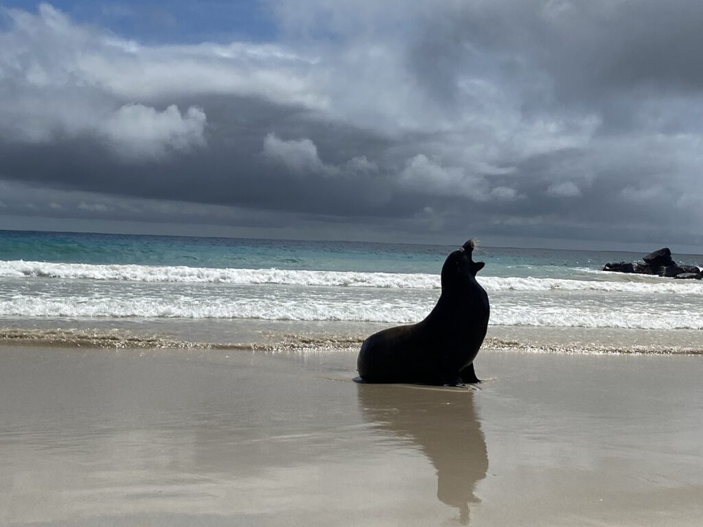 Ecuador San Cristobal Puerto Chino Beach