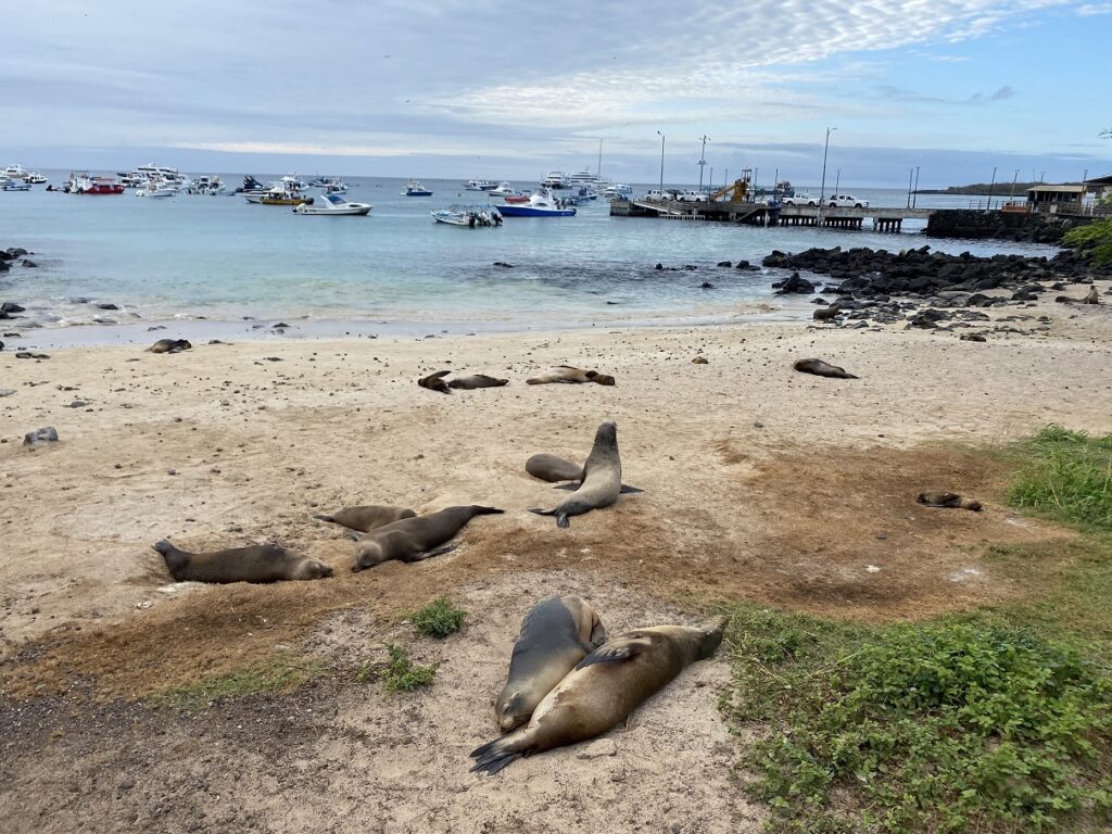 Playa de Oro San Cristobal