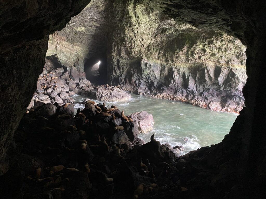 Sea Lion Cave