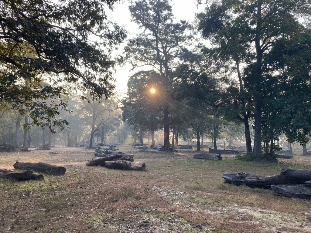 Kali Adventure Camp Timber Depot