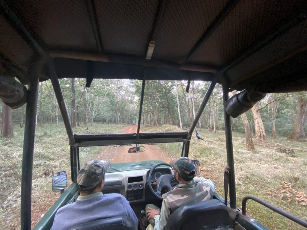 Kali Adventure Camp Naturalist Guides - Safari Ride