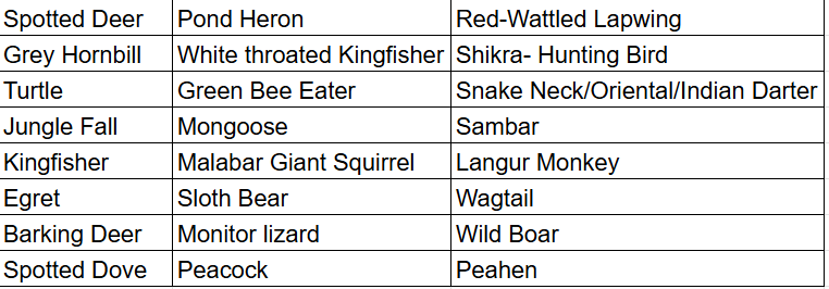 Animal/Bird sightings on Kali Tiger Reserve Safari
