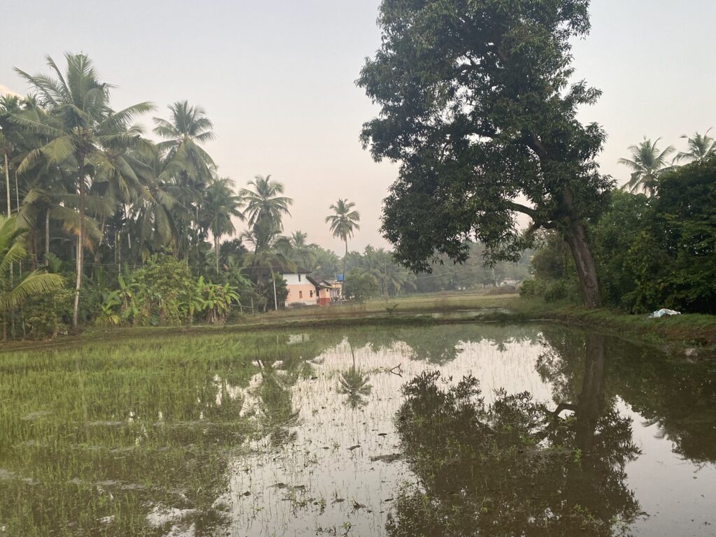 Kunjarugiri