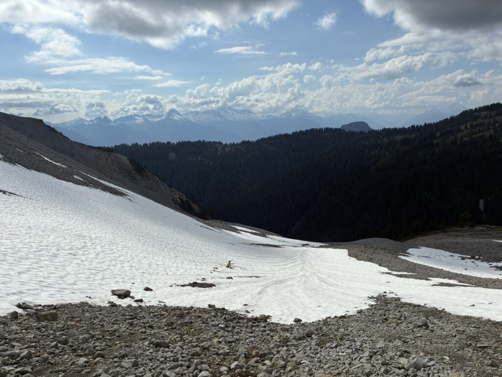 Columnar Peak-Gargoyles Saddle