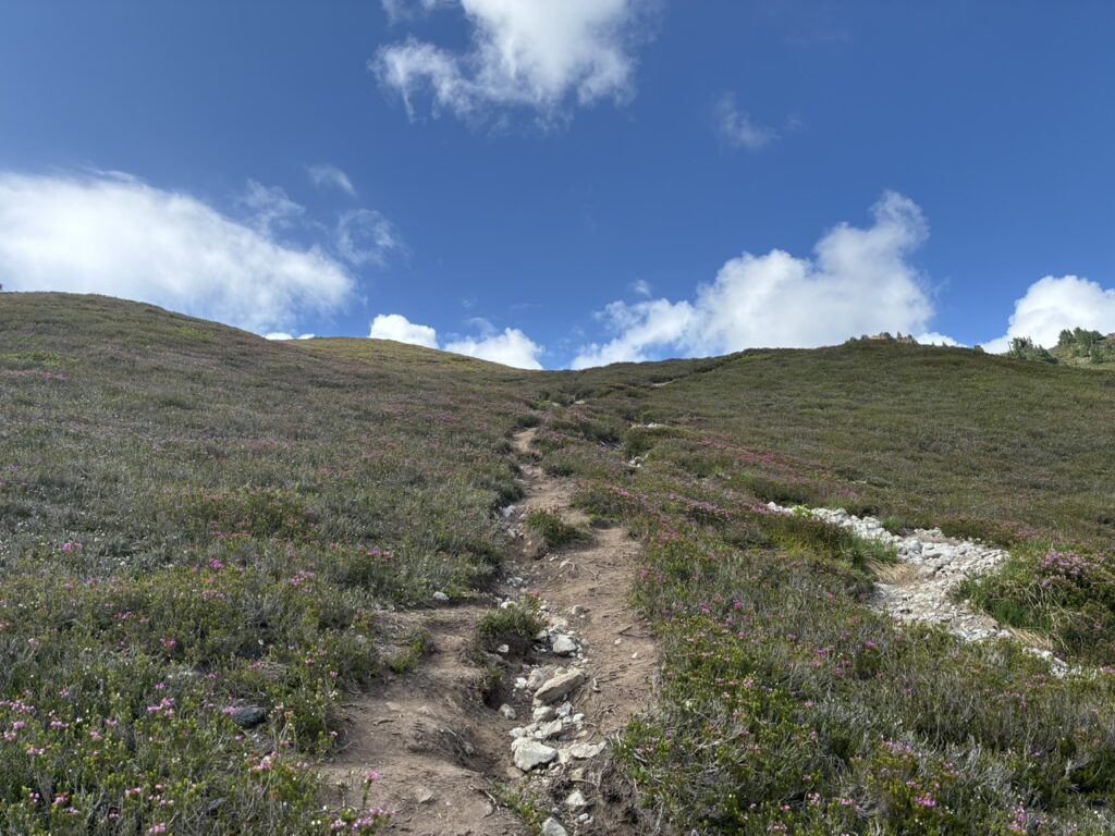 Saddle Trail - Elfin Lakes