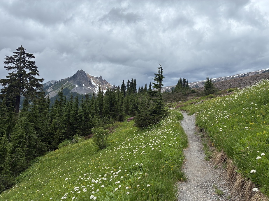Opal Cone Hike Meadows