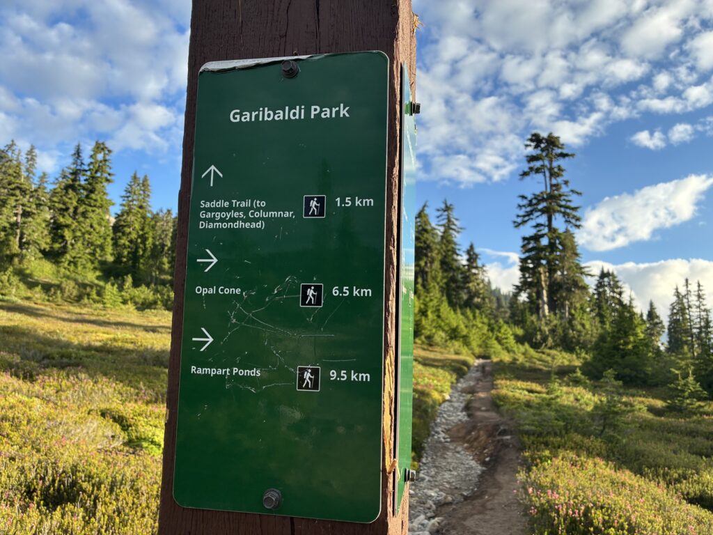 Saddle Trail junction