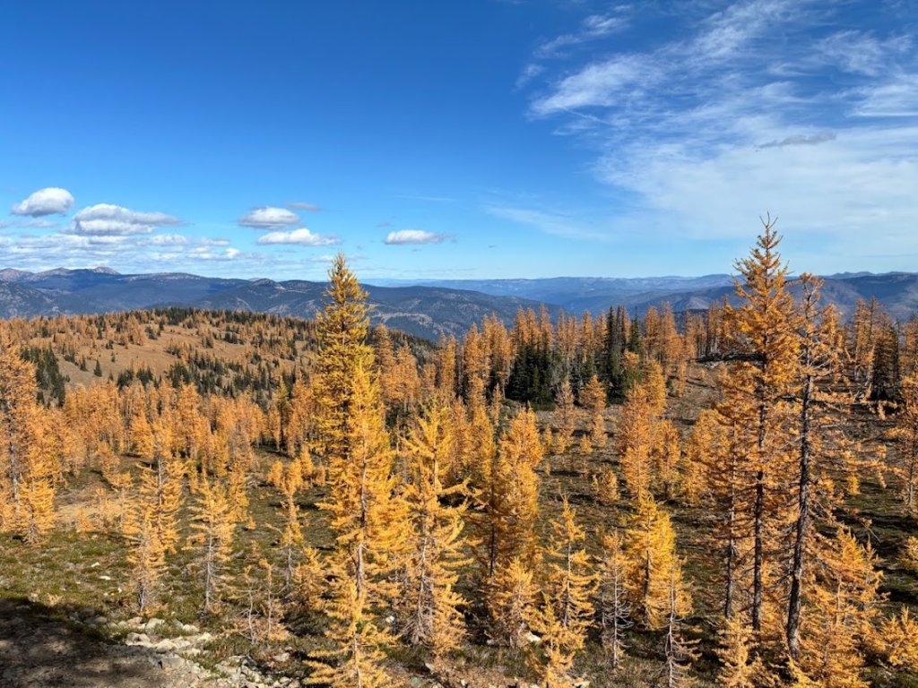 Frosty Mountain Meadows - Larches Hike
